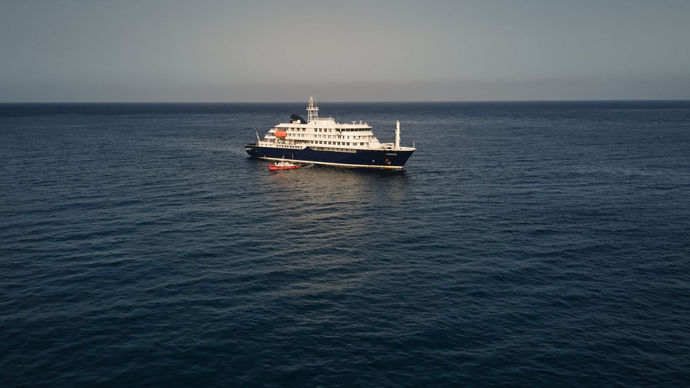 Drei Tote nach Hantavirus-Ausbruch auf Kreuzfahrtschiff