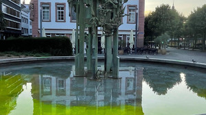 Klima-Aktivisten färben Mainzer Brunnen grün
