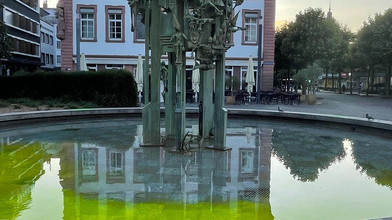 Klima-Aktivisten färben Mainzer Brunnen grün