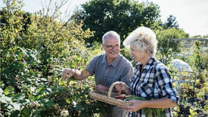 Andere Länder zeigen, wie man das Rentenproblem wirklich anpackt