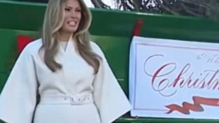 Festtagsstimmung in den USA: Weihnachtsbaum und Truthähne im Weißen Haus