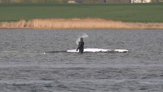 Buckelwal vor Poel: Start für Rettungsaktion geplant