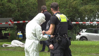 Hamburg-Harburg: Ein Mensch nach Schüssen verletzt