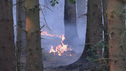 Größter Waldbrand der NRW-Geschichte: Fortschritte bei Brandbekämpfung