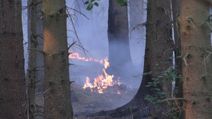 Größter Waldbrand der NRW-Geschichte: Fortschritte bei Brandbekämpfung
