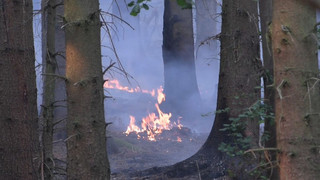 Größter Waldbrand der NRW-Geschichte: Fortschritte bei Brandbekämpfung