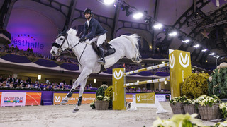 Springreiter Anquetin gewinnt das Festhallen-Reitturnier