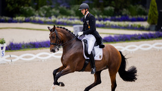 Pferd verletzt: Rothenberger verpasst Dressur-EM