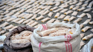 "Größte" Droggenrazzia aller Zeiten: Europol beschlagnahmt 1.000 Tonnen Chemikalien