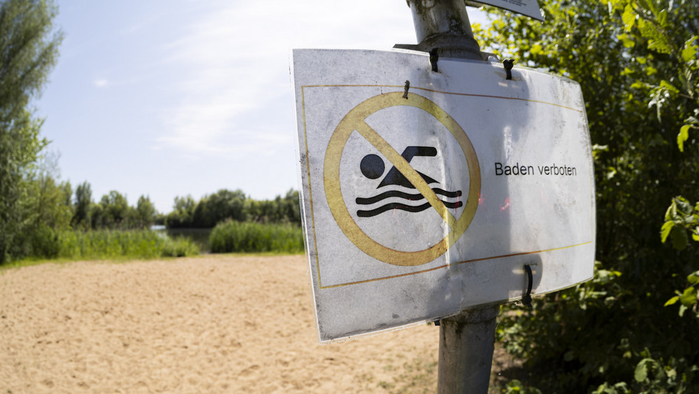 Fünf Schwimmer sind im Rhein verschwunden