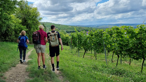 Kreuz & Quer am 04.08. - Wandertipps, Sommerbücher, Lieblingsorte