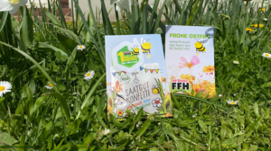 1 Million Bienen für Hessen: Blumensamen zu Ostern