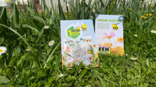 1 Million Bienen für Hessen: Blumensamen zu Ostern