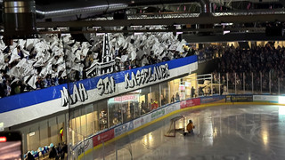Kassel Huskies siegen im Viertelfinale Playoffs DEL2 in Weißwasser