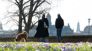 Wetterumschwung: Endlich Sonne