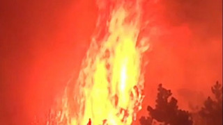 Bis ins Jahr 2100: Klimawandel könnte Waldbrandfläche in Europa verdreifachen
