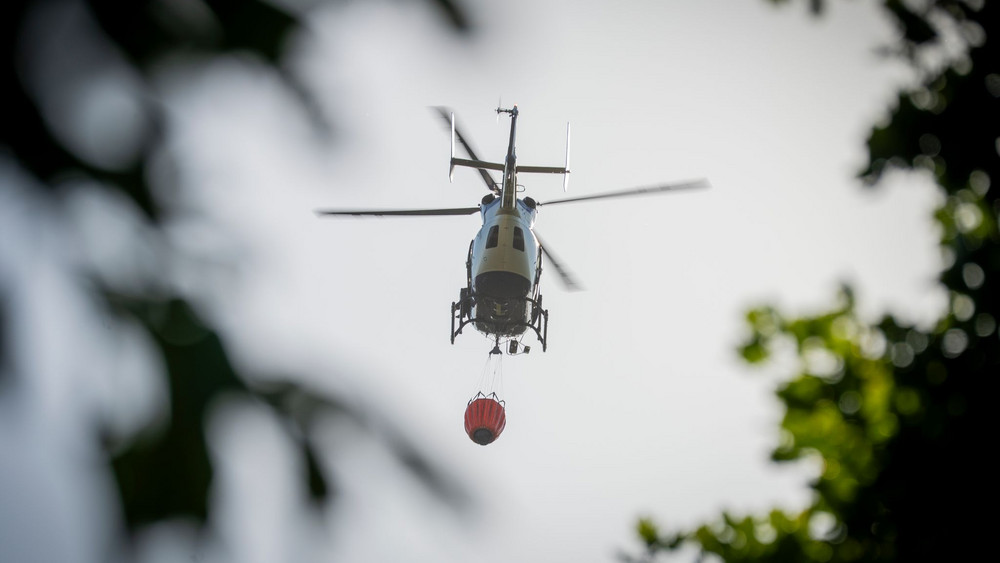 Waldbrand in Hessen