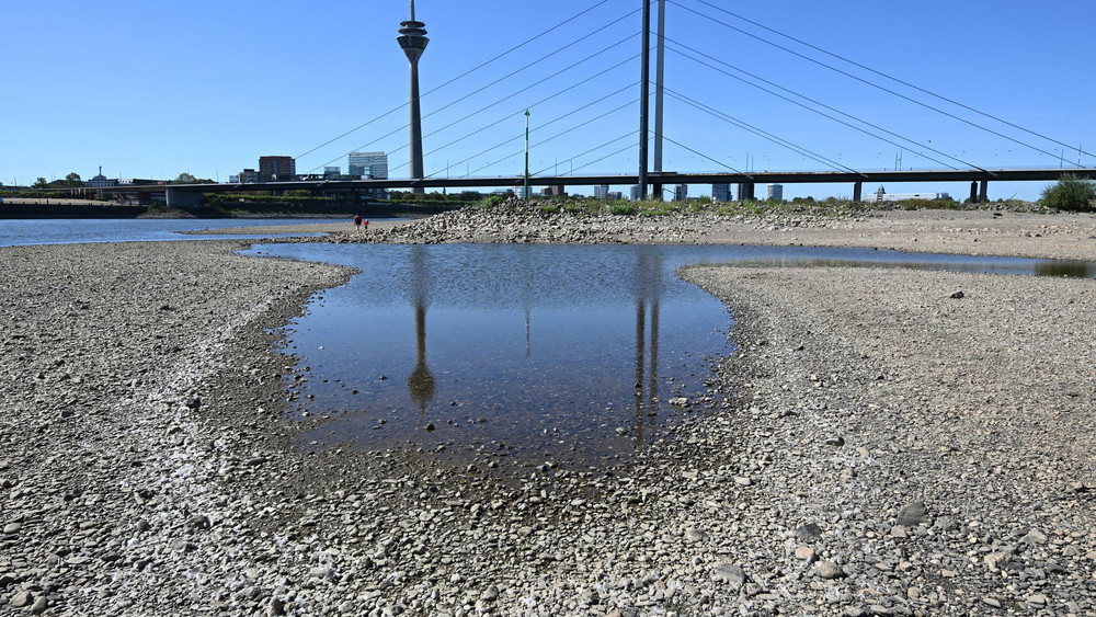 Niedrigwasser im Rhein