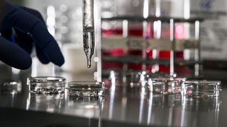 Hessen unterstützt mehr als 1000 Paare bei Kinderwunsch