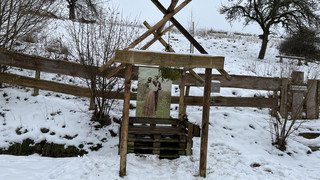 Bitte küssen! In Bad Arolsen steht jetzt eine "Kusshaltestelle"