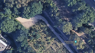 Mainz: Fuchs steckt mit dem Kopf in einer Plastikflasche fest