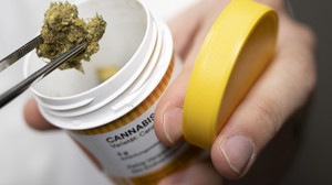 Mainz, Frankfurt u. Offenbach wollen Cannabismodellregionen werden