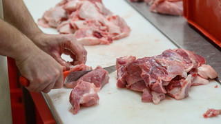 Landratsamt stoppt Betrieb: Wieder Schlachthof-Eklat in Unterfranken