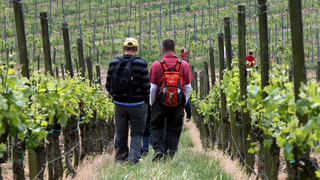 Schlägerei bei Weinwanderung mit acht Verletzten