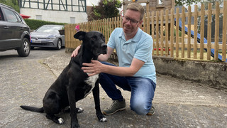Hundedusche und Leinen-Station: Hundefreundliches Landhaus in Homberg