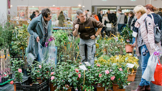Gartenträume in Gießen: Grüne Messe mit Pflanzensprechstunde