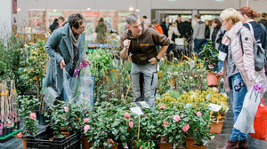 Gartenträume in Gießen: Grüne Messe mit Pflanzensprechstunde