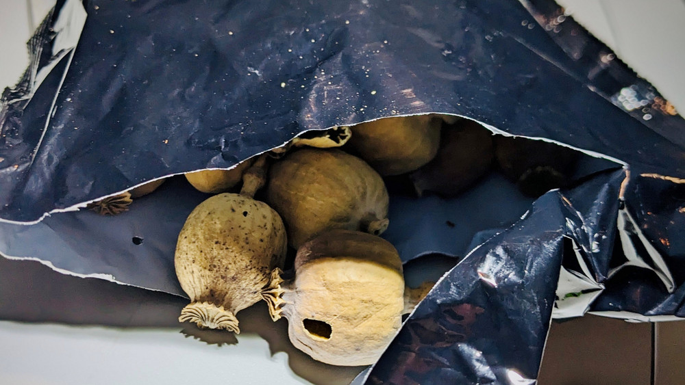 Der Zoll findet bei einer Kontrolle 50 Kilogramm Schlafmohn, mit dem auch Heroin hergestellt werden kann. 