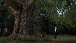 Filmstart Silent Friends: Marburger Baum im Mittelpunkt