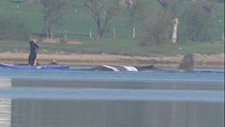 Rettung in der heißen Phase: Wal zeigt plötzlich Reaktion