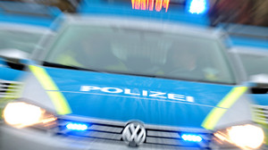 Ausgebüxter Hund verursacht auf A661 bei Offenbach Unfälle