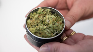 Erste legale Cannabisabgabe in Südhessen