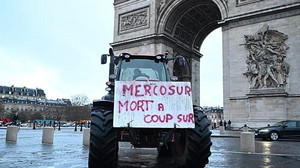 Traktor-Protest in Paris: Französische Bauern gegen EU-Mercosur-Abkommen