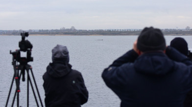 Rettungsaktion für Buckelwal in der Ostsee