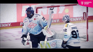 Nicht DEL-tauglich - MagentaSport blickt auf die Gründe für den Abstieg der Dresdner Eislöwen