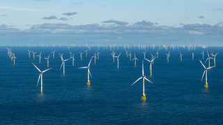 Erneuerbare liefern erstmals mehr als die Hälfte des Stromverbrauchs