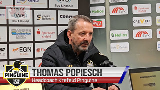 Krefeld Pinguine gehen im Playoff-Halbfinale gegen die Eisbären Regensburg mit 1:0 in Führung