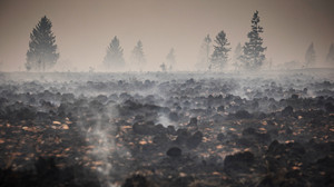 Waldbrand nahe deutscher Grenze