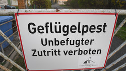 Wegen Vogelgrippe: Aufstellungspflicht nun auch in Hersfeld-Rotenburg