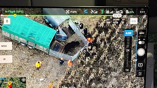 Entlaufene Galloway-Rinder in Gleichen: 20 Tiere fehlen noch