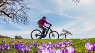 Trends der Fahrradsaison 2026
