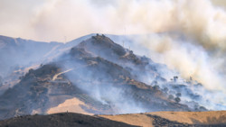 Klimawandel facht Brände an