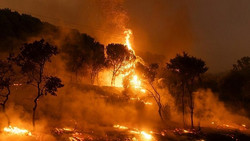 Waldbrand-Alarm: Wie groß ist die Gefahr jetzt in Deutschland?
