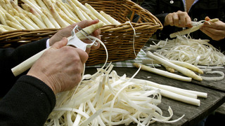 Spargelfest Lampertheim 2023 in Hessen: Programm und Öffnungszeiten