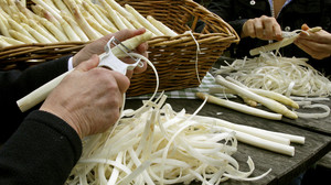 Spargelfest Lampertheim 2023 in Hessen: Programm und Öffnungszeiten