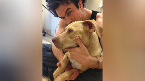 Das posten die Stars bei Instagram & Co